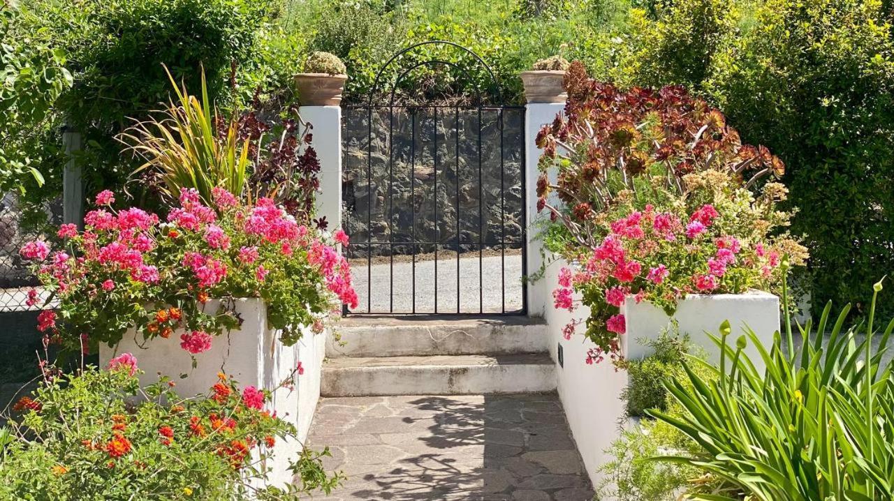 Casa Zagami Villa Malfa  Bagian luar foto