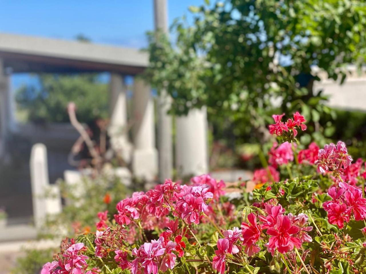 Casa Zagami Villa Malfa  Bagian luar foto