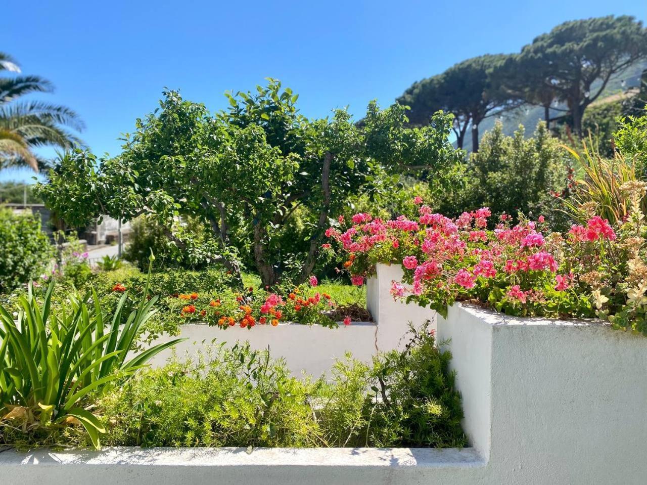 Casa Zagami Villa Malfa  Bagian luar foto
